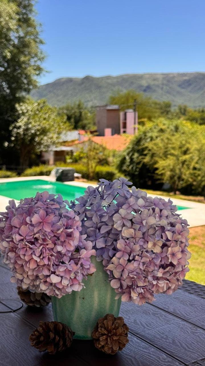 La Jacinta Posada Suites Santa Rosa de Calamuchita Exteriér fotografie