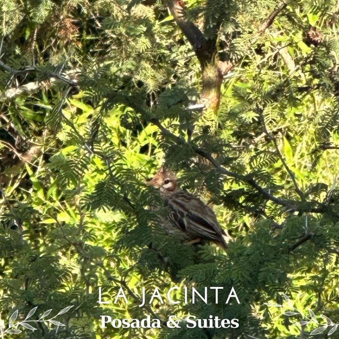 La Jacinta Posada Suites Santa Rosa de Calamuchita Exteriér fotografie
